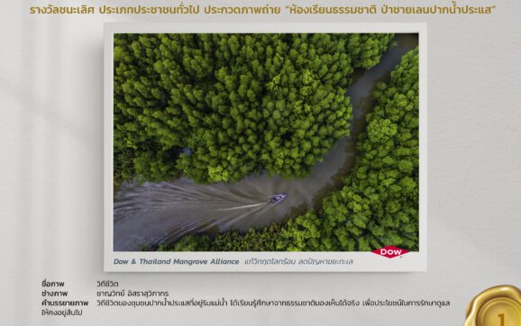 กลุ่ม บ.ดาว เผยภาพชนะประกวดภาพถ่าย ป่าชายเลนปากน้ำประแสร์