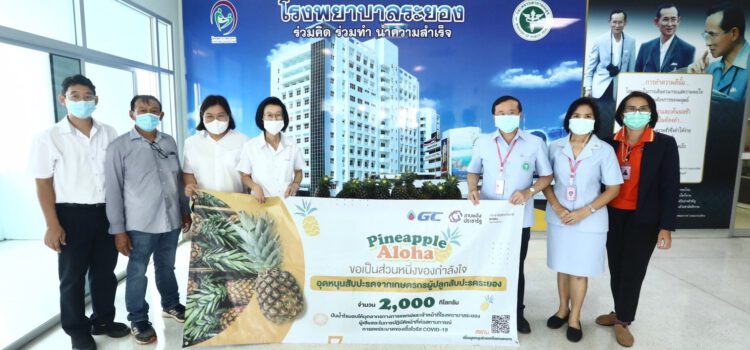GC ร่วมกับ ประชารัฐรักสามัคคีระยอง อุดหนุนเกษตรกรผู้ปลูกสับปะรดใน จ.ระยอง