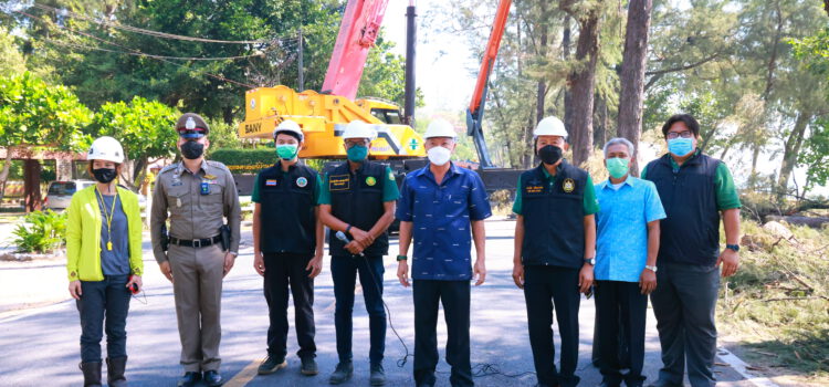 พ่อเมืองระยอง ติดตามการตัดแต่งต้นสนบริเวณชายหาดสวนสน ป้องกันการโค่นล้มกระทบนักท่องเที่ยว