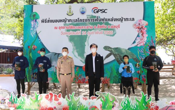 กลุ่มจีพีเอสซี ผนึกกำลังกองทัพเรือภาคที่ 1 และ ศวทอ.ฟื้นฟูแหล่งหญ้าทะเล