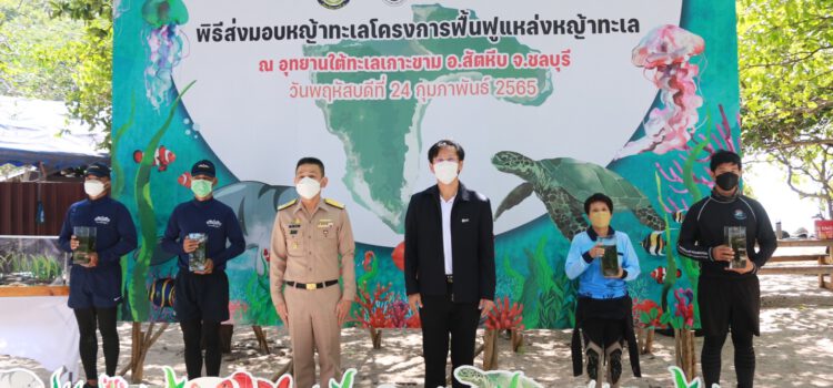 กลุ่มจีพีเอสซี ผนึกกำลังกองทัพเรือภาคที่ 1 และ ศวทอ.ฟื้นฟูแหล่งหญ้าทะเล