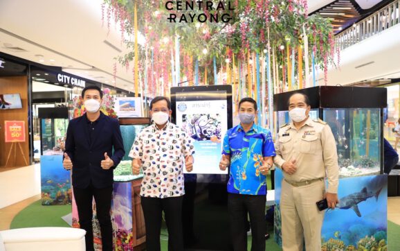 ระยองเปิดงาน มหัศจรรย์ความงามใต้ท้องทะเล นำสัตว์น้ำทะเลแสดงโชว์กระตุ้นท่องเที่ยว