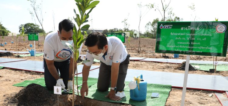 GC มุ่งเป้าหมาย Net Zero ลดผลกระทบภาวะโลกร้อนด้วยการปลูกต้นไม้
