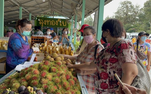 ททท.ระยอง ชวนเที่ยวสวนผลไม้ช่วงฤดูผลผลิตของเกษตรกรออกสู่ตลาด