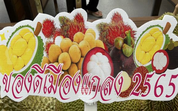 อบจ.ระยอง ชวนเที่ยวงานเทศกาลผลไม้และของดี อ.แกลง