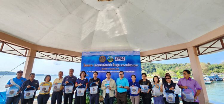 ประมงจ.ระยอง ดึงกลุ่มประมงพื้นบ้านปล่อยพันธุ์สัตว์น้ำ เพิ่มทรัพยากรสัตว์น้ำทะเลชายฝั่งให้อุดมสมบูรณ์