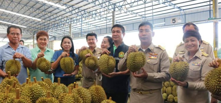 พ่อเมืองระยอง หนุนทุเรียนระยอง การันตีคุณภาพ สร้างความเชื่อมั่นผู้บริโภค
