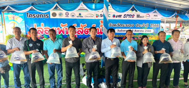 GPSC Group จับมือภาคีเครือข่าย “ปล่อยพันธุ์สัตว์น้ำ ประจำปี 2566”