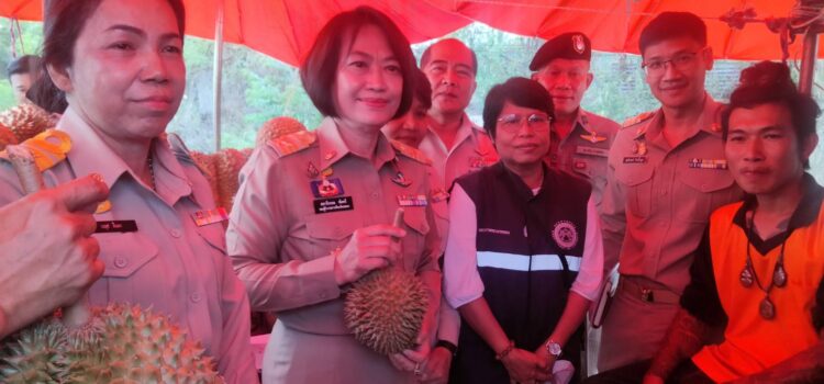 รองผวจ.ระยอง พร้อมเกษตรจังหวัด นำทีมลงพื้นที่ตรวจจับแผงทุเรียนหลังมีสาวร้องผ่านรายการช่องดัง ซื้อทุเรียนอ่อนไปกินทั้งน้ำตา