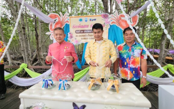 จ.ระยอง แต่งงานให้ปูดำ ปูแสม มุ่งอนุรักษ์ขยายพันธุ์ปูและกระตุ้นท่องเที่ยวป่าชายเลน
