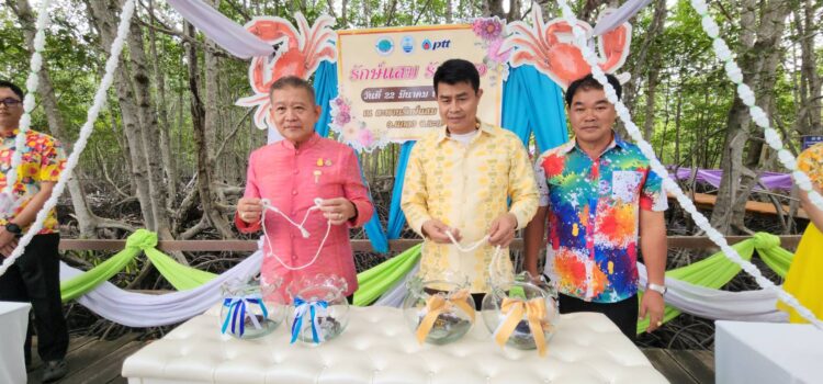จ.ระยอง แต่งงานให้ปูดำ ปูแสม มุ่งอนุรักษ์ขยายพันธุ์ปูและกระตุ้นท่องเที่ยวป่าชายเลน