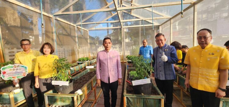ผู้ว่าฯระยอง เปิดจวน Kick off ปลูกผักสวนครัวเป็นต้นแบบ เพื่อสร้างความมั่นคงทางอาหาร