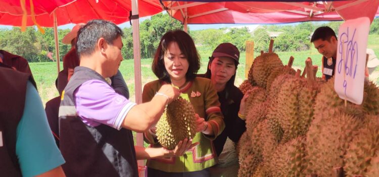 รองผวจ.ระยอง นำทีมตรวจแผงจำหน่ายทุเรียน คุมเข้มป้องกันและแก้ไขปัญหาทุเรียนอ่อนออกสู่ตลาด