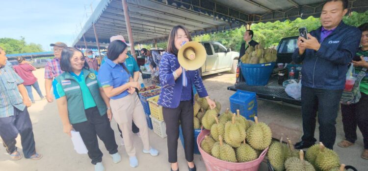 รองผู้ว่าฯ ระยอง ช่วยเกษตรกรชาวสวนขายผลไม้ ชวนมาซื้อราคาถูกกว่าหน้าสวน ก่อนผลไม้จะหมด สิ้นเดือนนี้