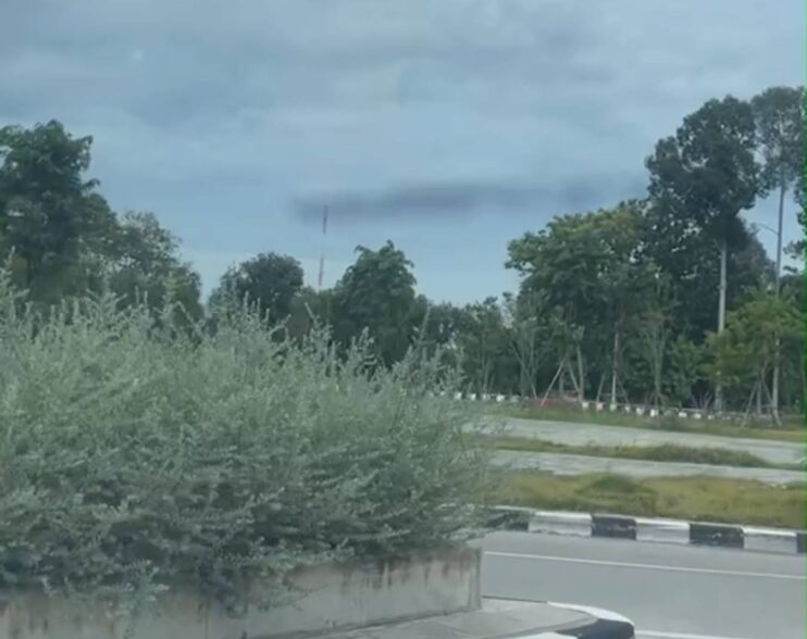ชาวบ้านมาบตาพุด ร้องถนนวงเวียนปลูกไม้ประดับสวยงามสูงบดบังทัศนวิสัย เสี่ยงเกิดอุบัติเหตุ